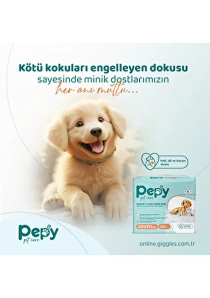 Hijyenik Tuvalet Eğitim Pedi 30 Adet 60x90 Cm Köpek ve Kedi İçin Yapışkanlı modelleri