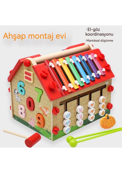 Yapı Blokları, Somunlar ve Demonte Evi, Zeka Oyuncağı (Yurt Dışından) modelleri