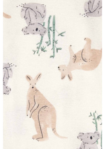 Erkek Bebek Uzun Kollu 4lü Body modelleri