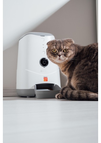 Otomatik 1080P Kameralı Mama Kabı Uzaktan Wifi Kontrollü modelleri