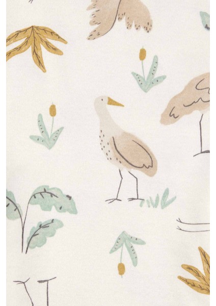 Bebek Uzun Kollu 4lü Body modelleri