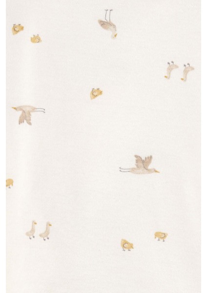 Bebek Uzun Kollu 4lü Body fırsatları