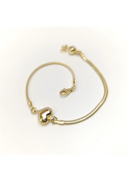 Kalpli Bileklik Künye 14 Ayar Altın Hd Videolu fırsatları