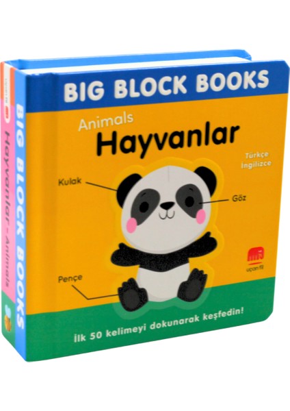 Hayvanlar (Animal) - Big Block Books fiyatları