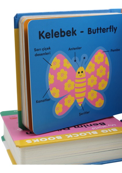 Hayvanlar (Animal) - Big Block Books fırsatları