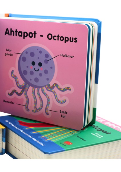 Hayvanlar (Animal) - Big Block Books indirimleri