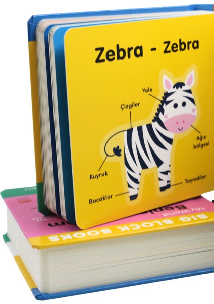 Hayvanlar (Animal) - Big Block Books