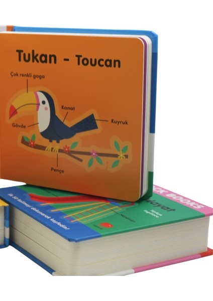 Hayvanlar (Animal) - Big Block Books