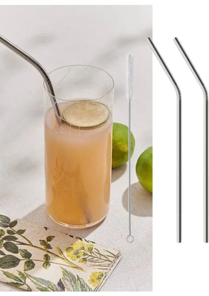 2 Li Paslanmaz Çelik Pipet + Temizleme Fırçası modelleri