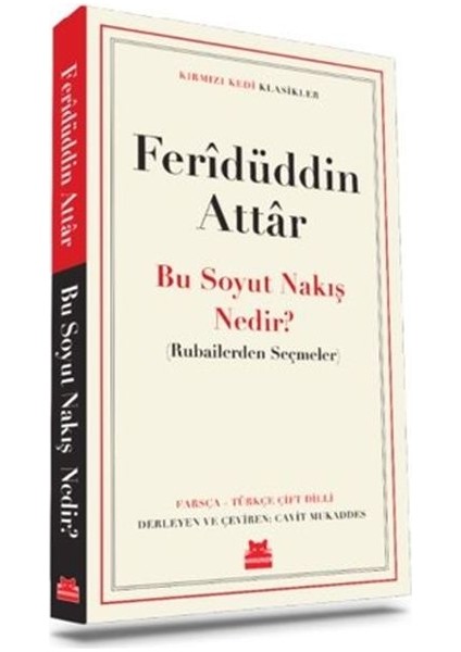 Bu Soyut Nakış Nedir?