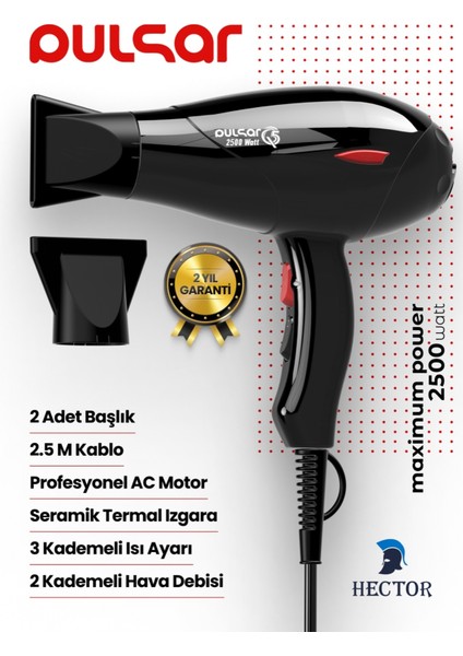 Yüksek Güçlü Profesyonel Kuaför Fön Makinesi, Turbo, Siyah, Ac Motor