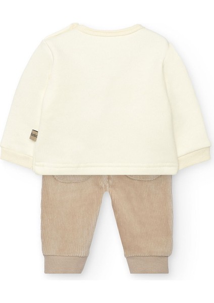 Erkek Bebek Ayı Baskılı Takım fiyatları