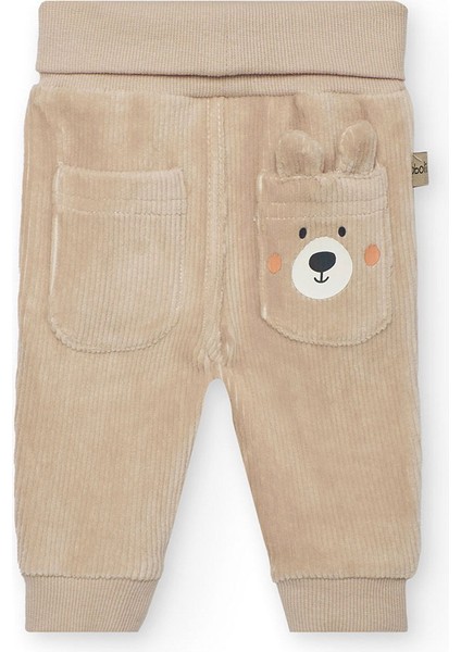 Erkek Bebek Ayı Baskılı Takım