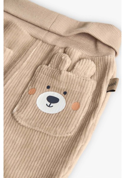 Erkek Bebek Ayı Baskılı Takım