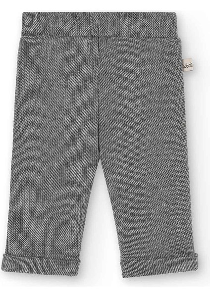 Erkek Bebek Ayı Desenli Takım