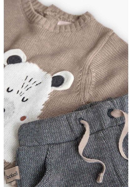 Erkek Bebek Ayı Desenli Takım