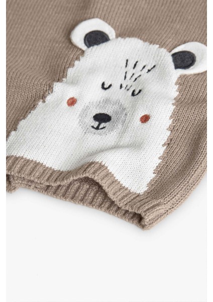 Erkek Bebek Ayı Desenli Takım