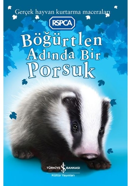 Böğürtlen Adında Bir Porsuk