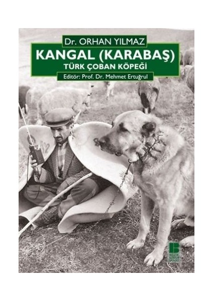 Kangal (Karabaş) Türk Çoban Köpeği