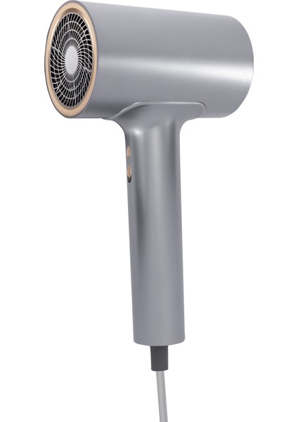Gri Profesyonel Ionic Saç Kurutma Makinesi, Hızlı ve Güçlü Kurutma Imkanı fiyatları