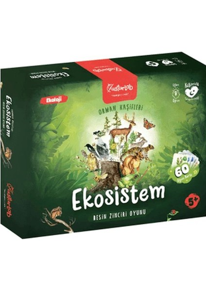 Ekosistem Besin Zinciri Kutu Oyunu Midi