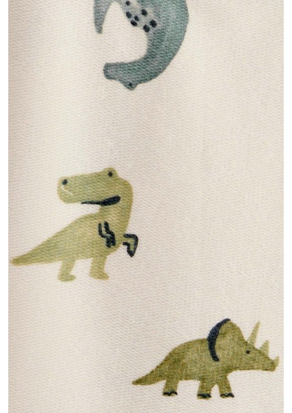 Erkek Çocuk Desenli 2li Set fiyatları