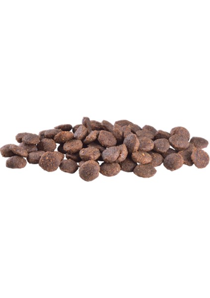 Wizard Brit Care 2 kg Mini Irk Yorkshire Terrier Köpekler Için, Tahılsız, Hipoalerjenik, Somon ve Tuna Balıklı Kuru Mama fiyatları