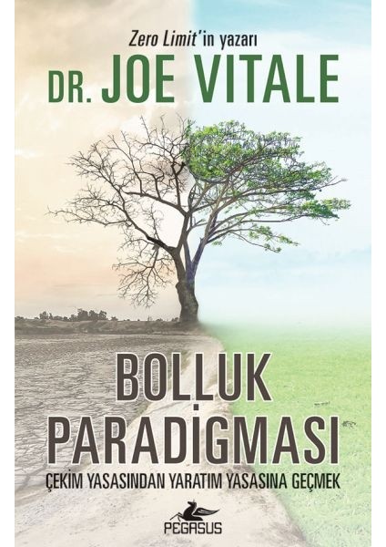 Bolluk Paradigması