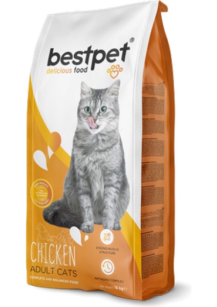 Wizard Bestpet 15 kg Yetişkin Kediler Için Tavuk Etli Kuru Mama