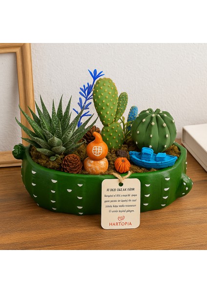 Hartopia-El Yapımı Dekoratif Sukulent & Kaktüs Aranjmanı – Minyatür Bahçe Tasarımı