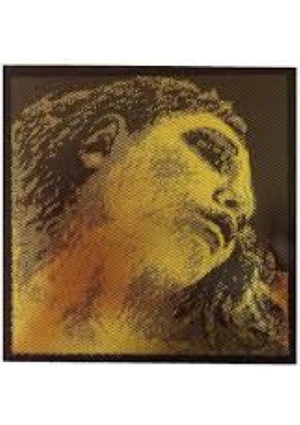 Pirastro Evah Pirazzi Gold G ( Sol ) Tek Keman Teli 415421