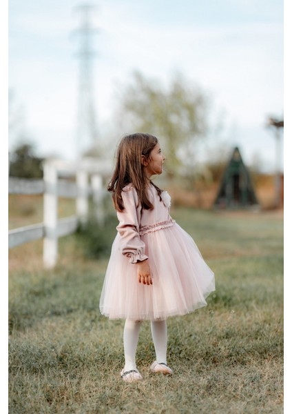 Rosa Kadife Kabarık Tüllü Kız Çocuk Elbise Pembe fırsatları