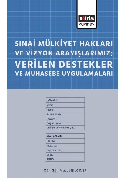 Sınai Mülkiyet Hakları ve Vizyon Arayışlarımız; Verilen Destekler ve Muhasebe Uygulamaları