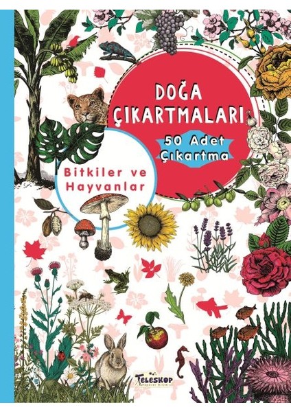 Bitkiler ve Hayvanlar - Doğa Çıkartmaları