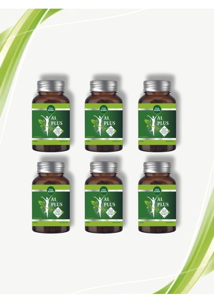 A1 Plus L-Carnitine Lepidium - Bitkisel 30 Kapsül 6 Adet fiyatları