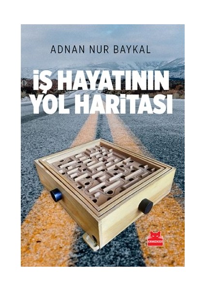 Iş Hayatının Yol Haritası