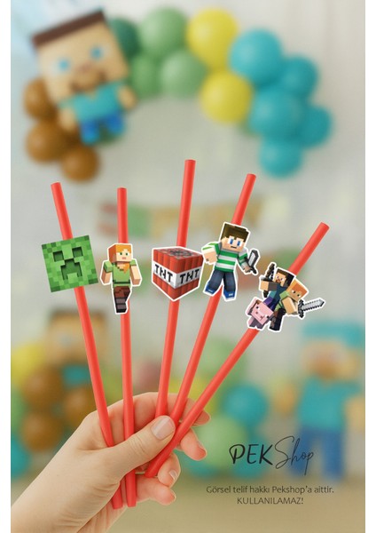 Minecraft Pipet Süsleri 10LU Minecraft Konsept Lüks Pipet Paketi