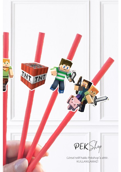 Minecraft Pipet Süsleri 10LU Minecraft Konsept Lüks Pipet Paketi fiyatları