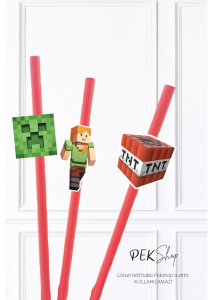 Minecraft Pipet Süsleri 10LU Minecraft Konsept Lüks Pipet Paketi modelleri
