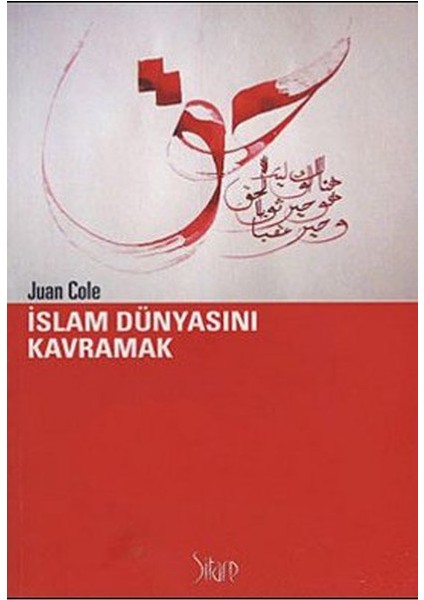 Islam Dünyasını Kavramak