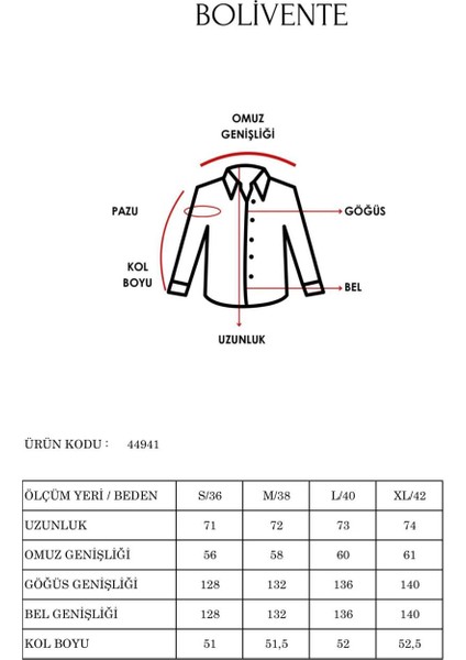 Limited Edition Regular Poliviskon Dokuma Gömlek