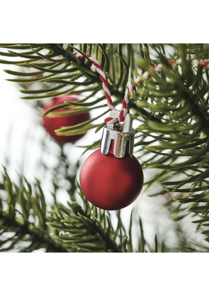 Çelenk, Kırmızı, 2.2 M modelleri