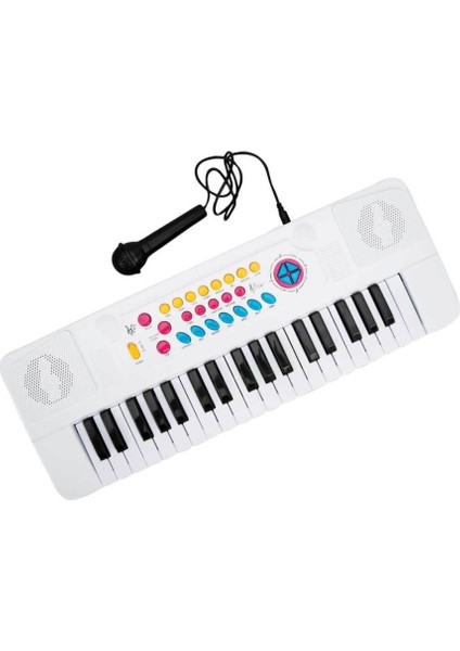 Nessiworld 01946 Sunman-Eccho, Mikrofonlu Elektronik Org 37 Tuşlu fırsatları