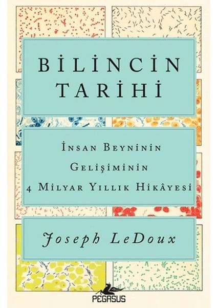 Bilincin Tarihi: Insan Beyninin Gelişiminin 4 Milyar Yıllık Hikayesi