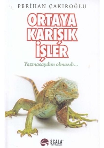 Ortaya Karışık Işler