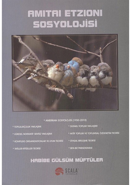 Amitai Etzioni Sosyolojisi