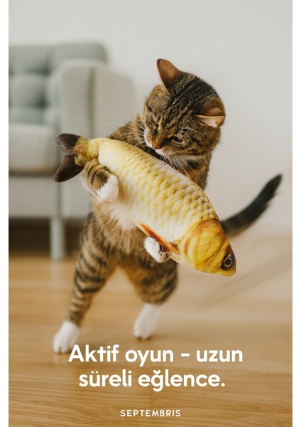 Peluş Balık Kedi Oyuncağı – Gerçekçi Balık Görünümlü, Eğlenceli ve Dayanıklı Oyuncak modelleri
