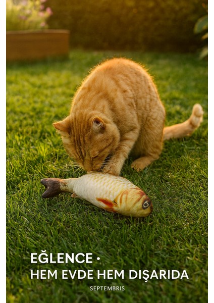 Peluş Balık Kedi Oyuncağı – Gerçekçi Balık Görünümlü, Eğlenceli ve Dayanıklı Oyuncak indirimleri