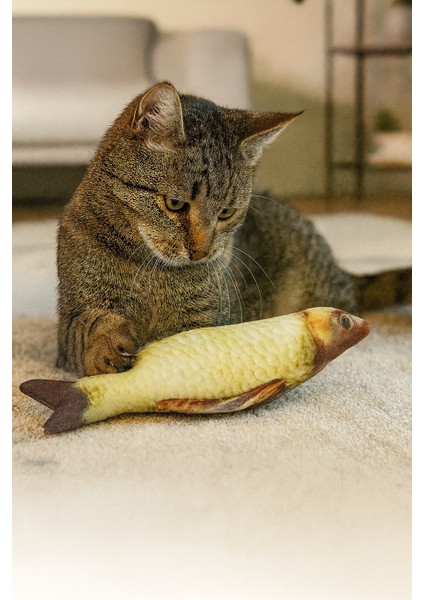 Peluş Balık Kedi Oyuncağı – Gerçekçi Balık Görünümlü, Eğlenceli ve Dayanıklı Oyuncak