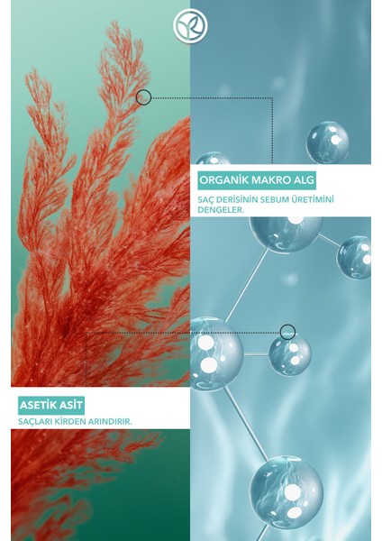 Arındırıcı Asetik Asit Saç Sirkesi ve Toniği - Yağlı Saçlar / Purete -VEGAN-37823 modelleri